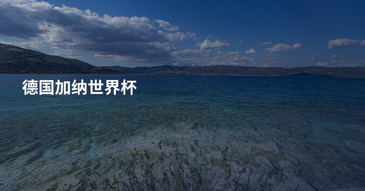 德国加纳世界杯