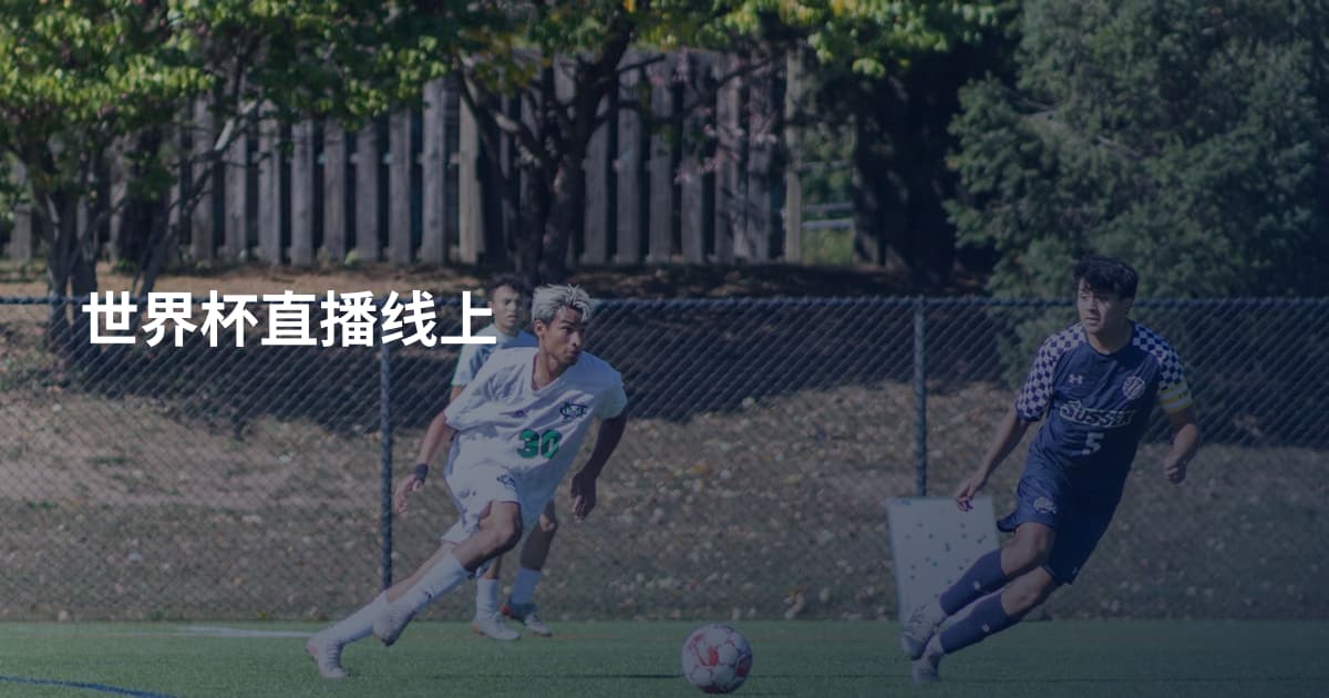 世界杯直播线上