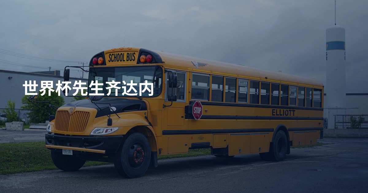 世界杯先生齐达内