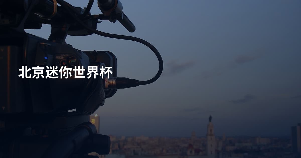 北京迷你世界杯