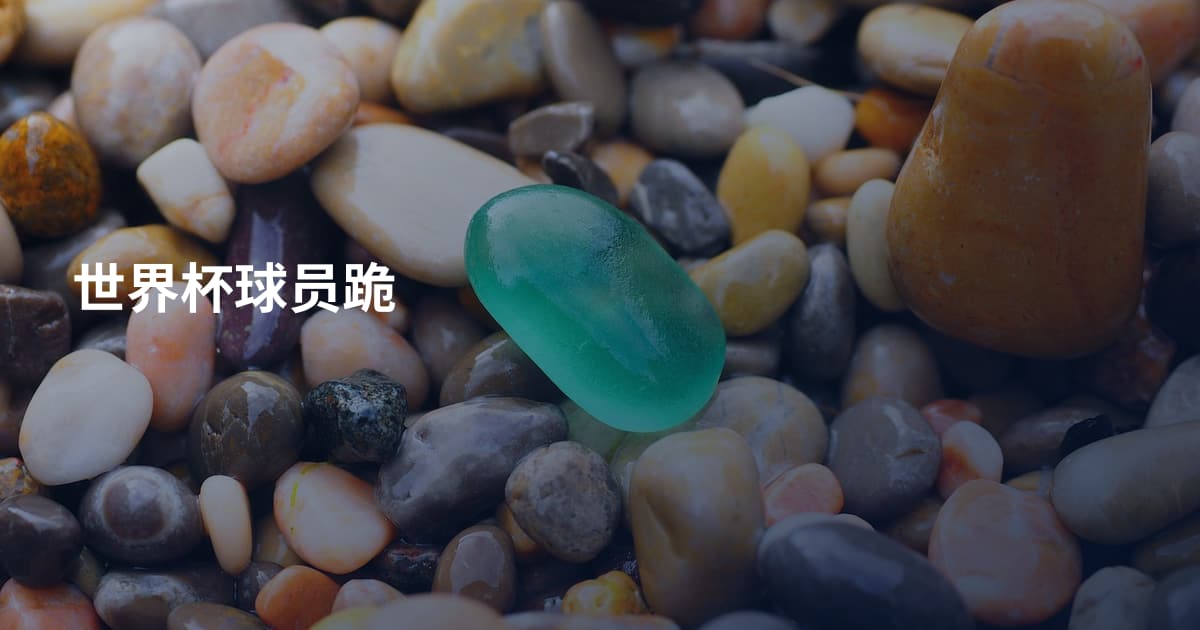世界杯球员跪