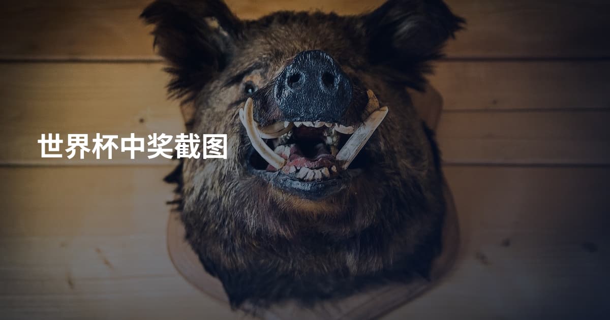世界杯中奖截图