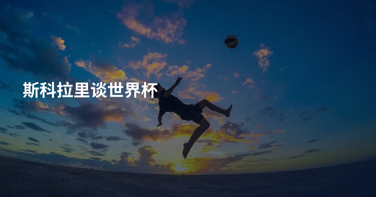 斯科拉里谈世界杯
