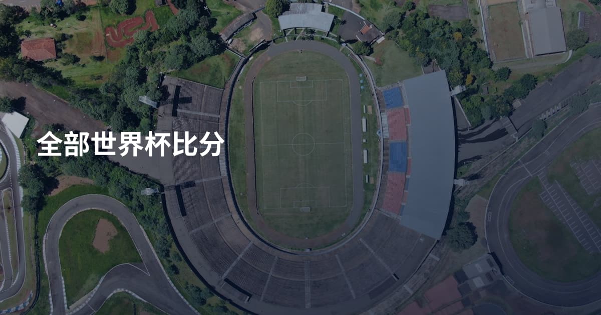 全部世界杯比分