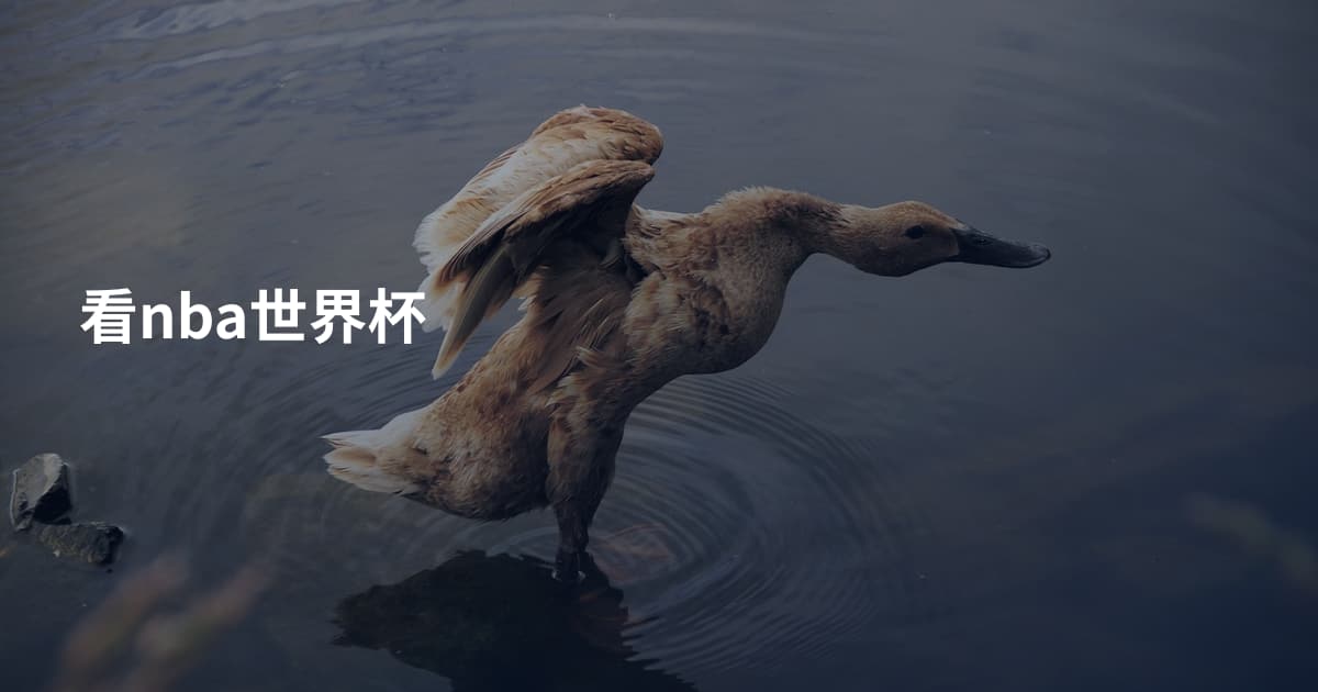 看nba世界杯