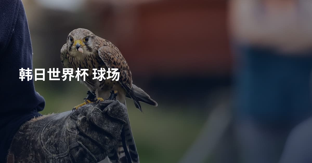 韩日世界杯 球场