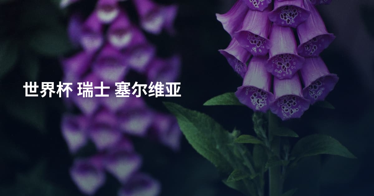 世界杯 瑞士 塞尔维亚