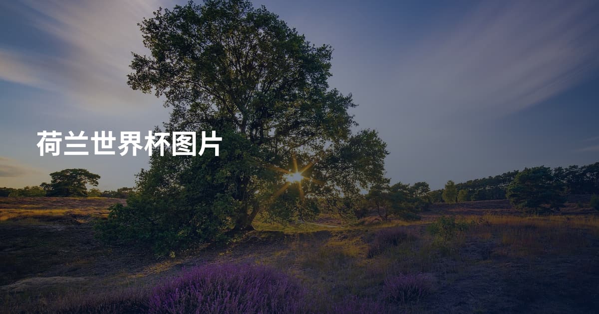 荷兰世界杯图片