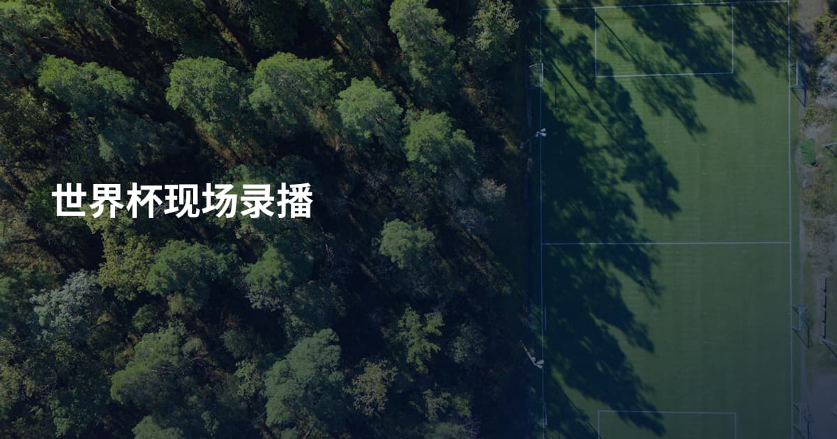 世界杯现场录播