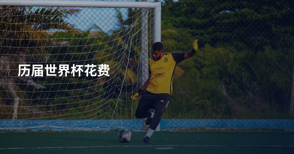 历届世界杯花费