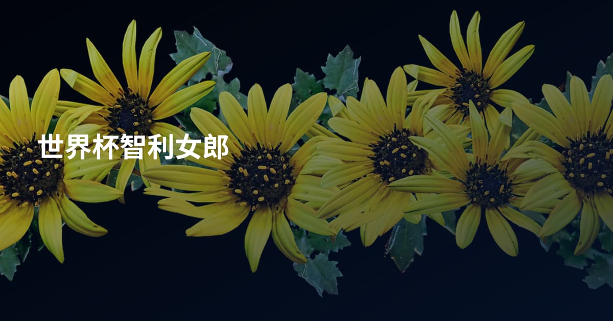 世界杯智利女郎