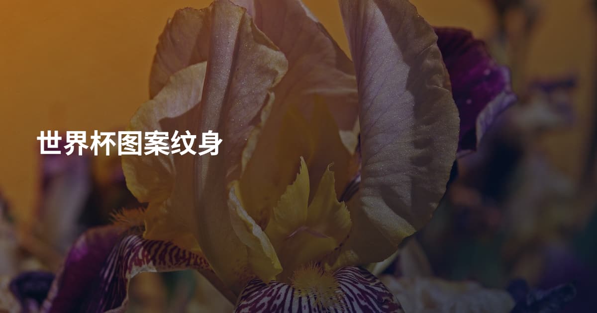 世界杯图案纹身
