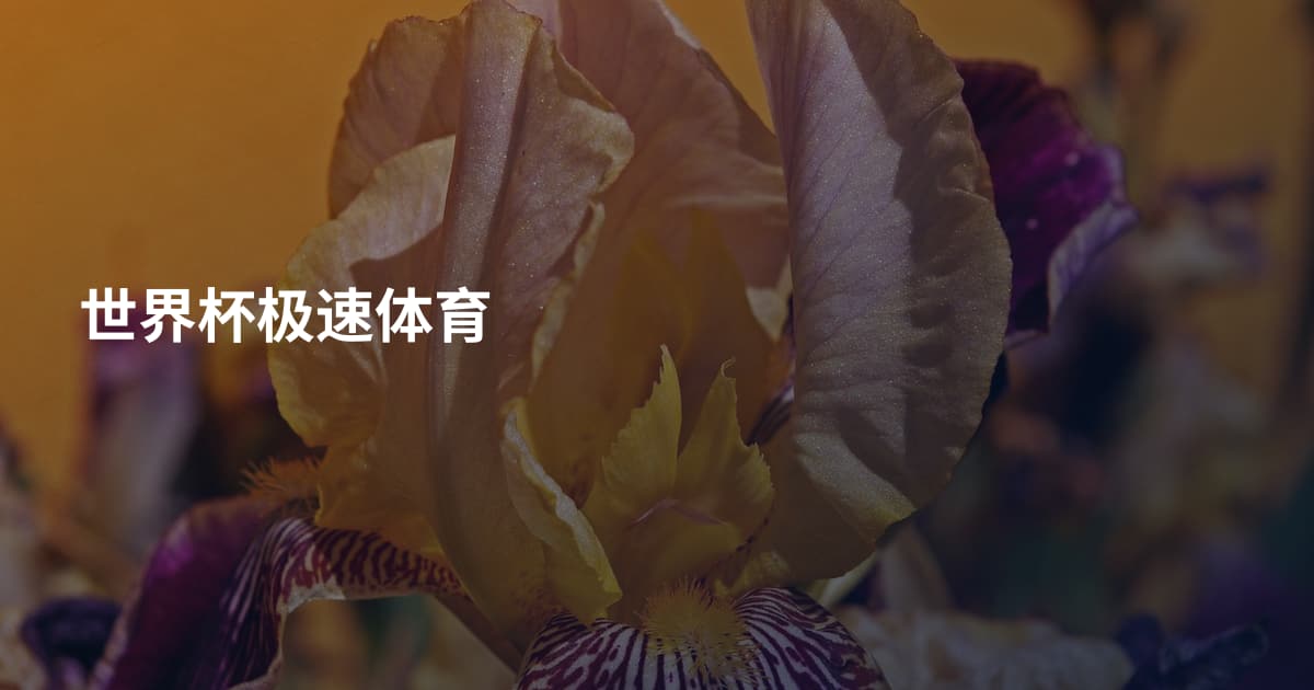 世界杯极速体育
