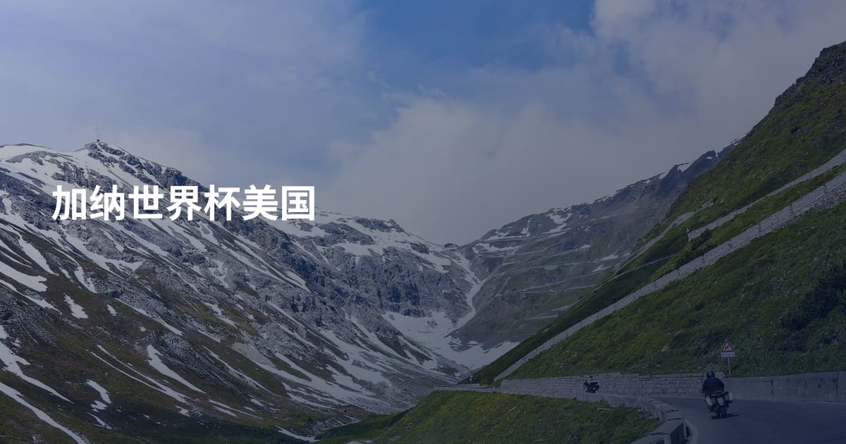 加纳世界杯美国