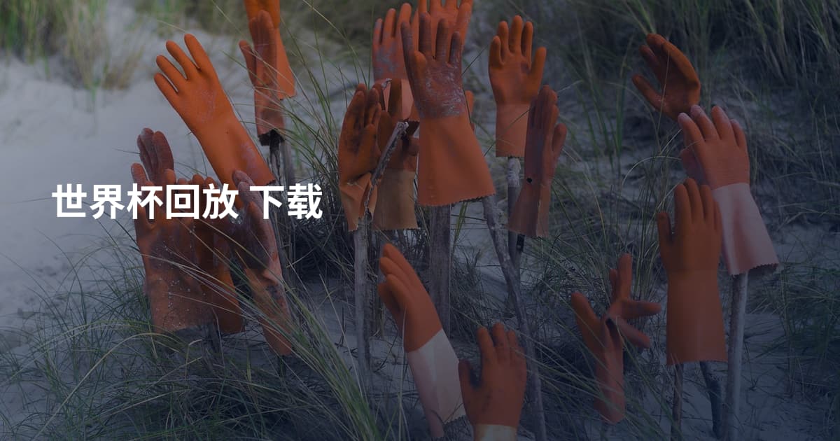 世界杯回放 下载