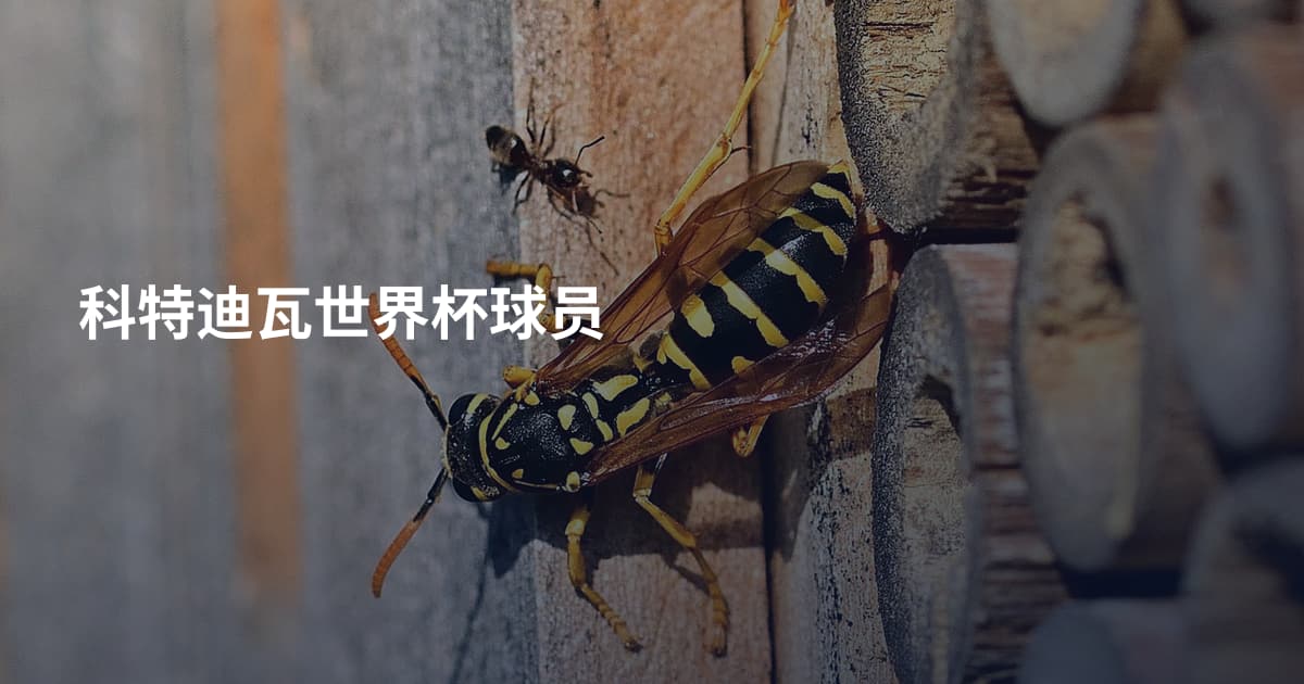 科特迪瓦世界杯球员