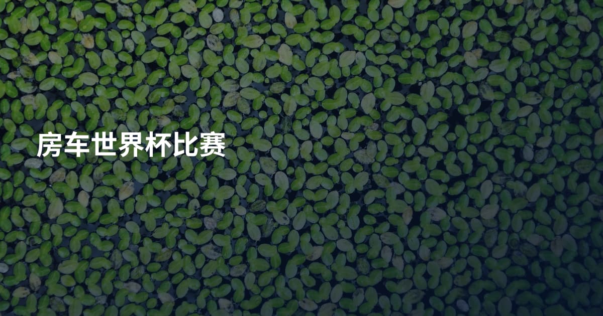 房车世界杯比赛