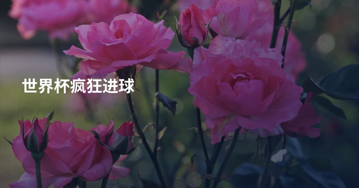 世界杯疯狂进球