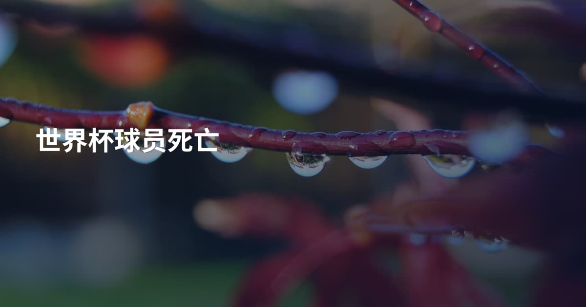 世界杯球员死亡