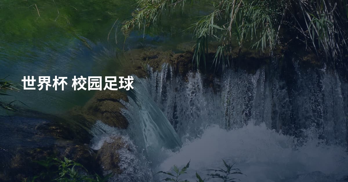 世界杯 校园足球