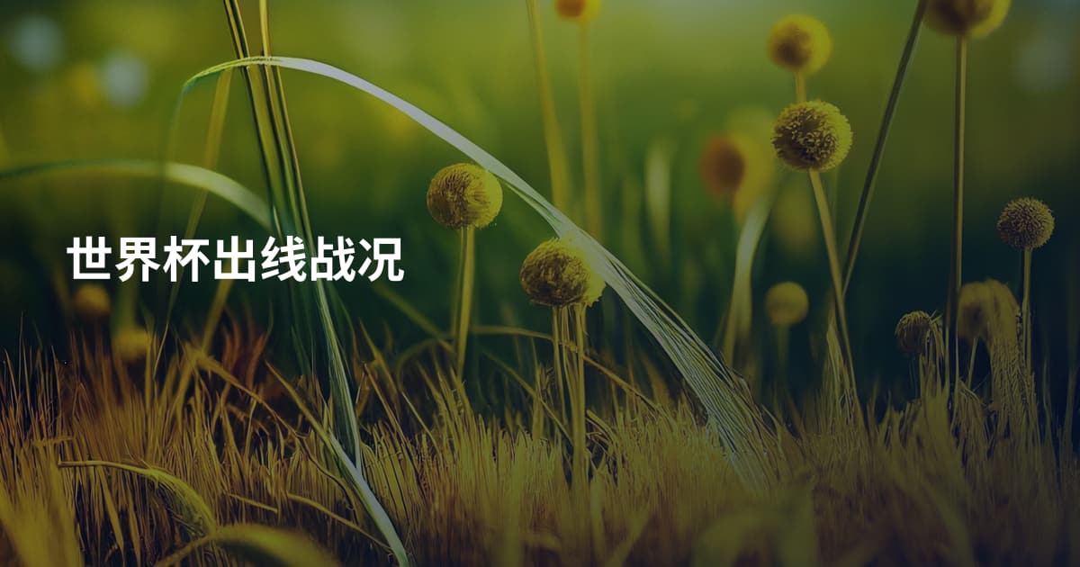 世界杯出线战况
