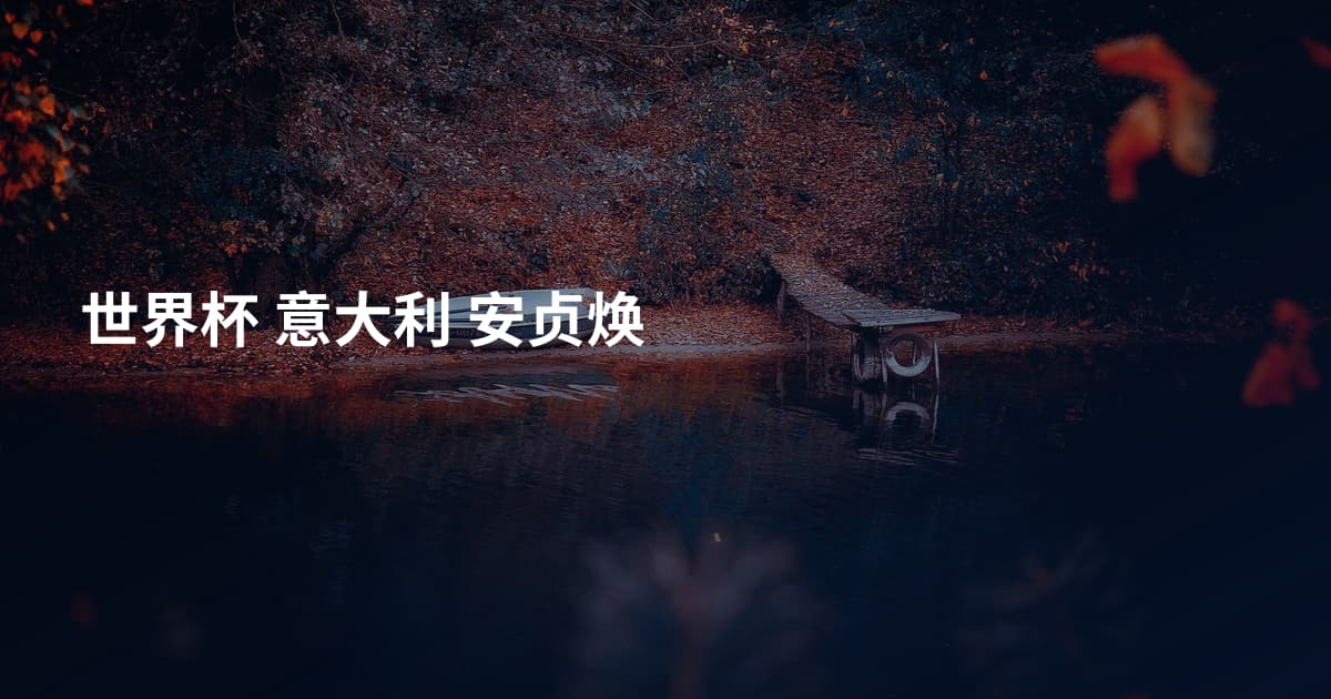 世界杯 意大利 安贞焕