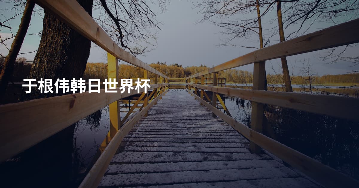 于根伟韩日世界杯