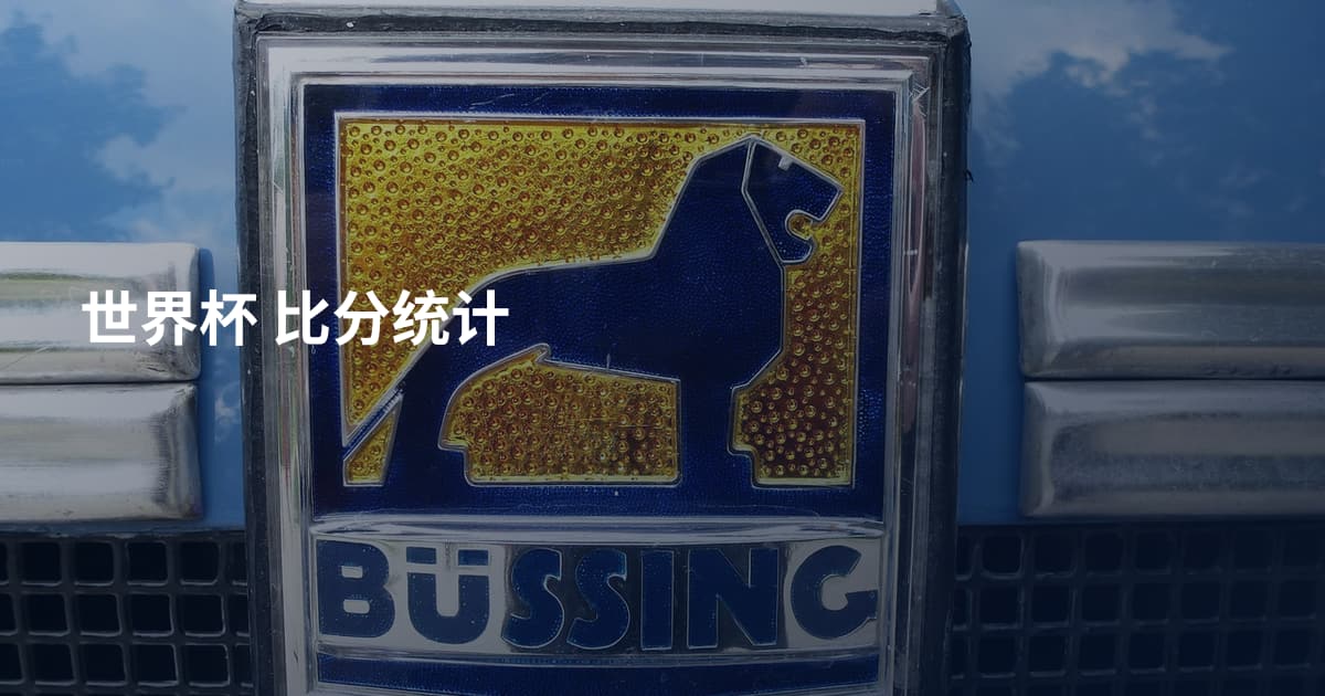 世界杯 比分统计