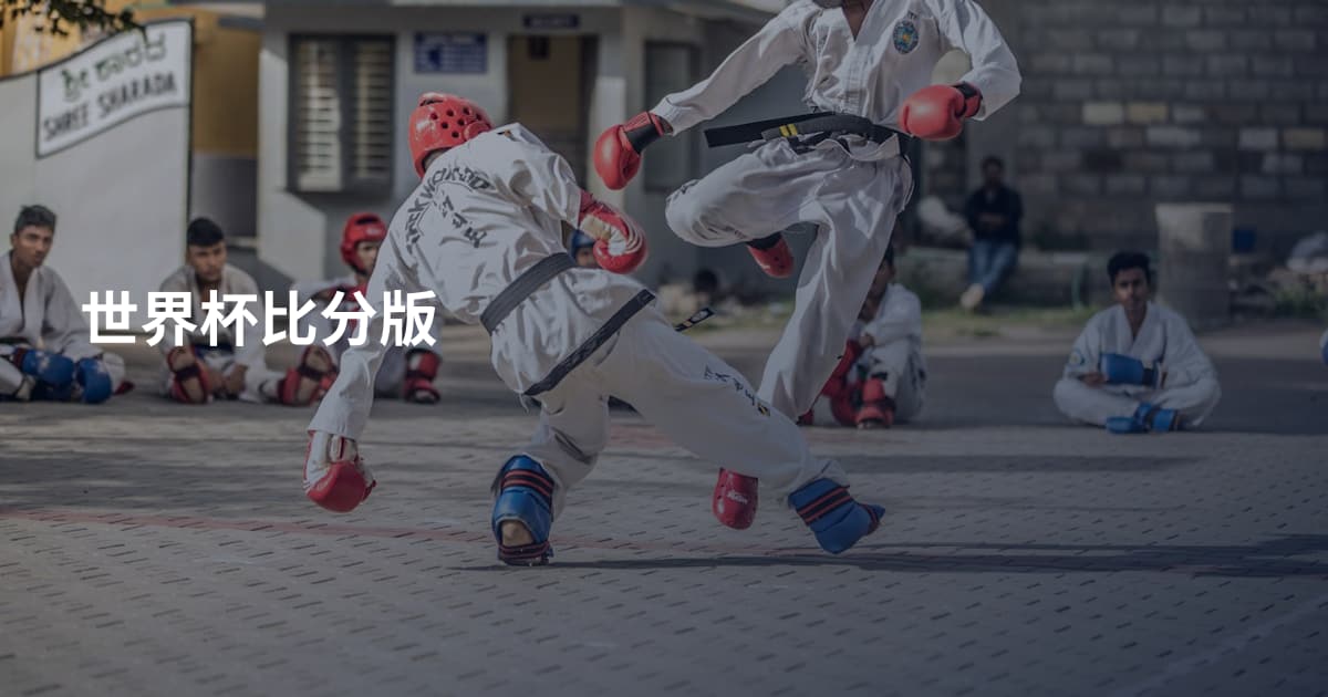 世界杯比分版