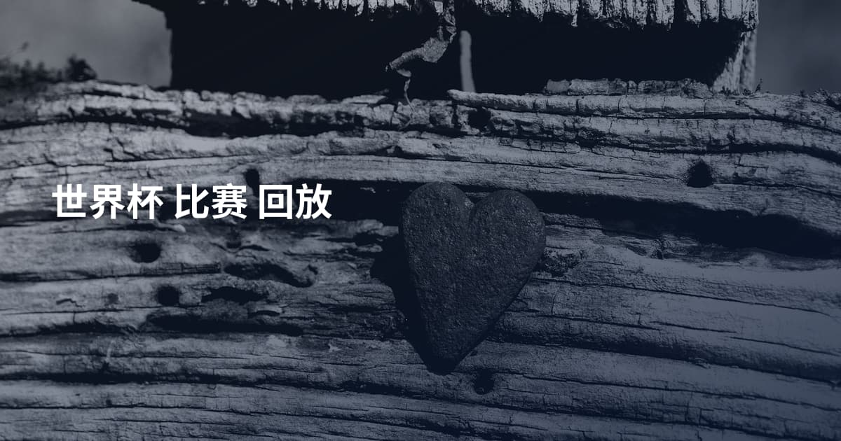世界杯 比赛 回放