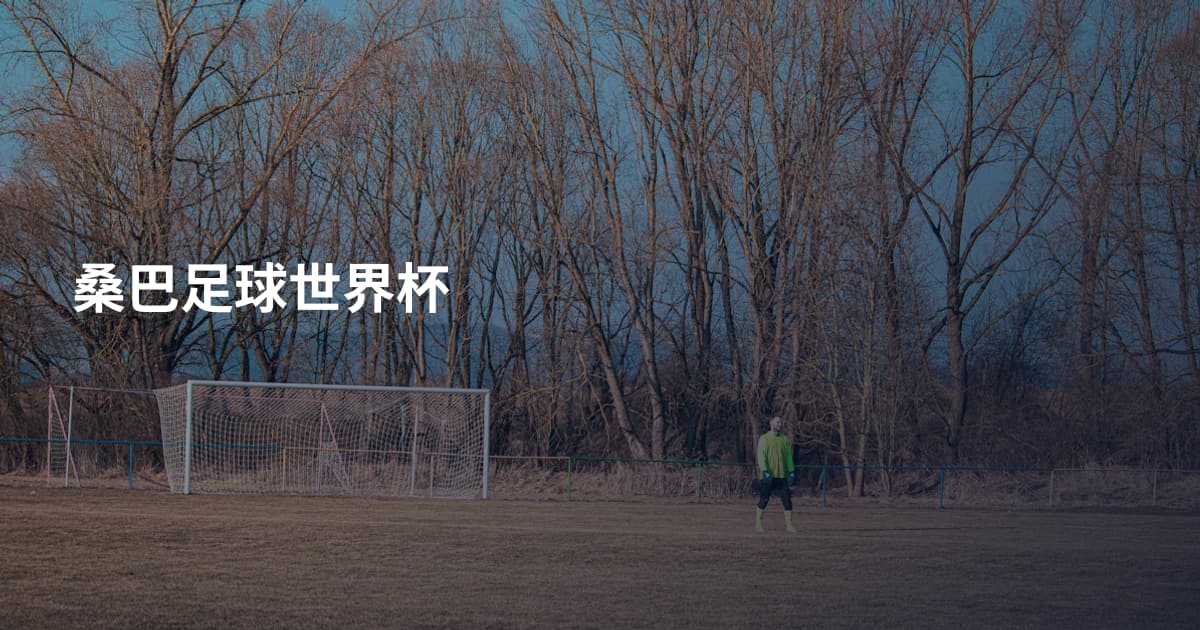 桑巴足球世界杯