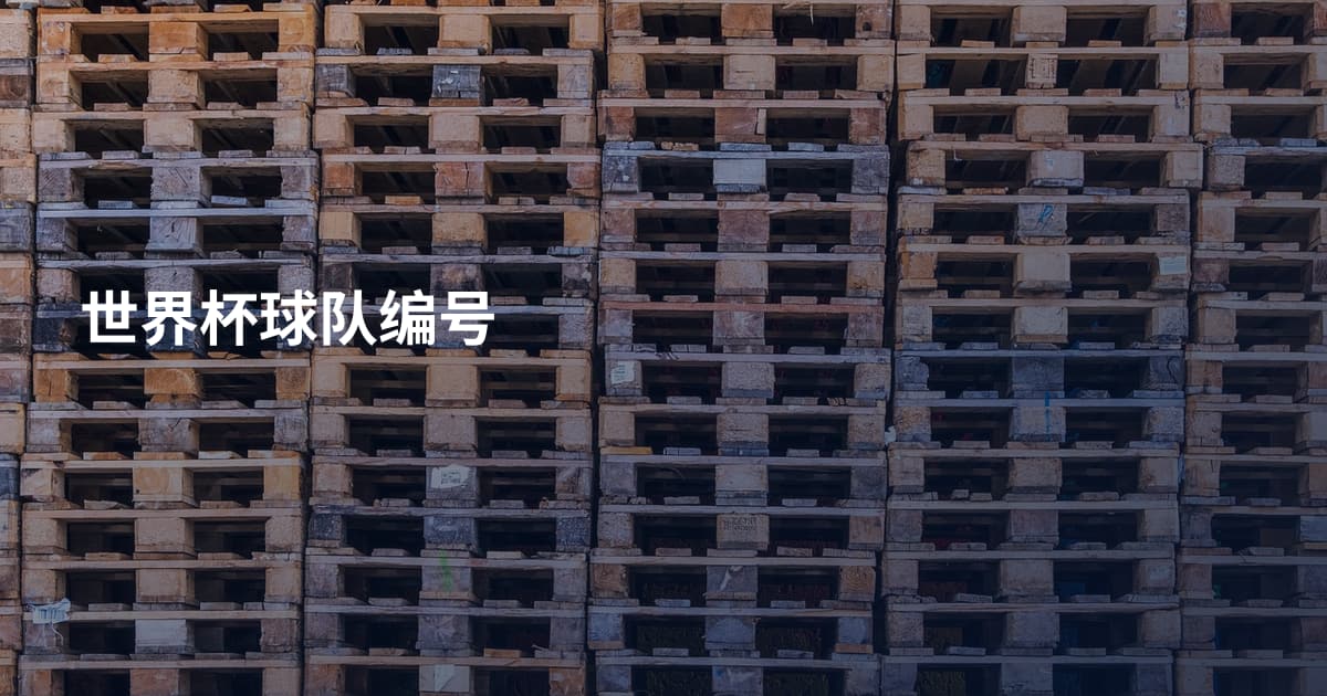 世界杯球队编号