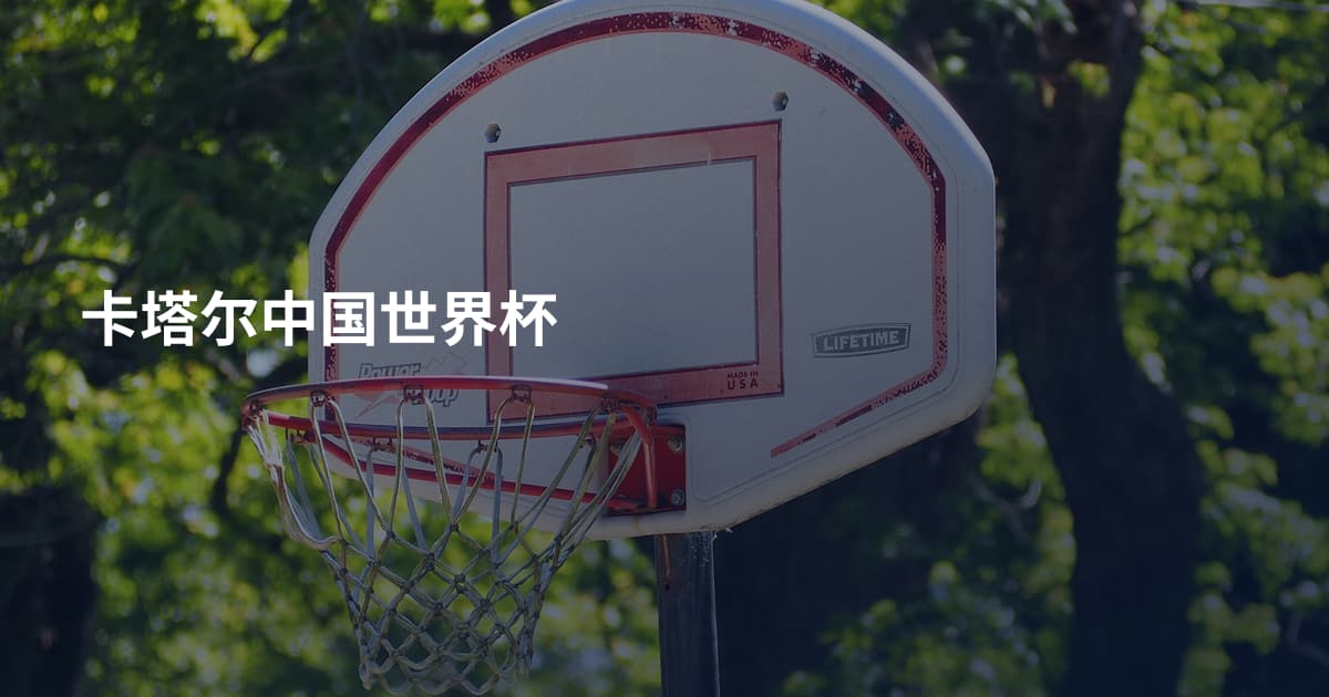 卡塔尔中国世界杯