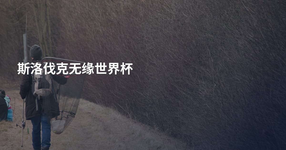 斯洛伐克无缘世界杯