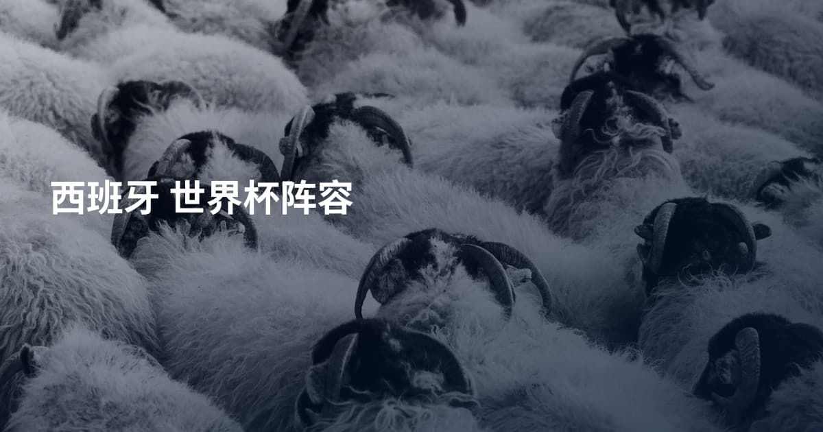 西班牙 世界杯阵容