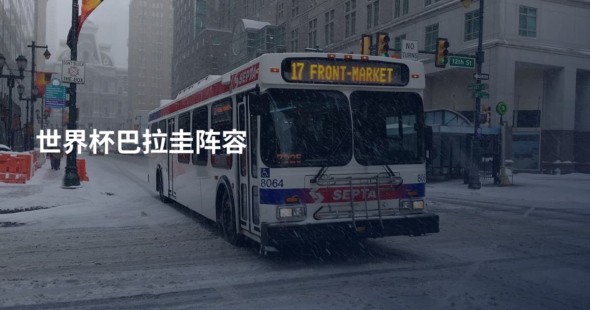 世界杯巴拉圭阵容