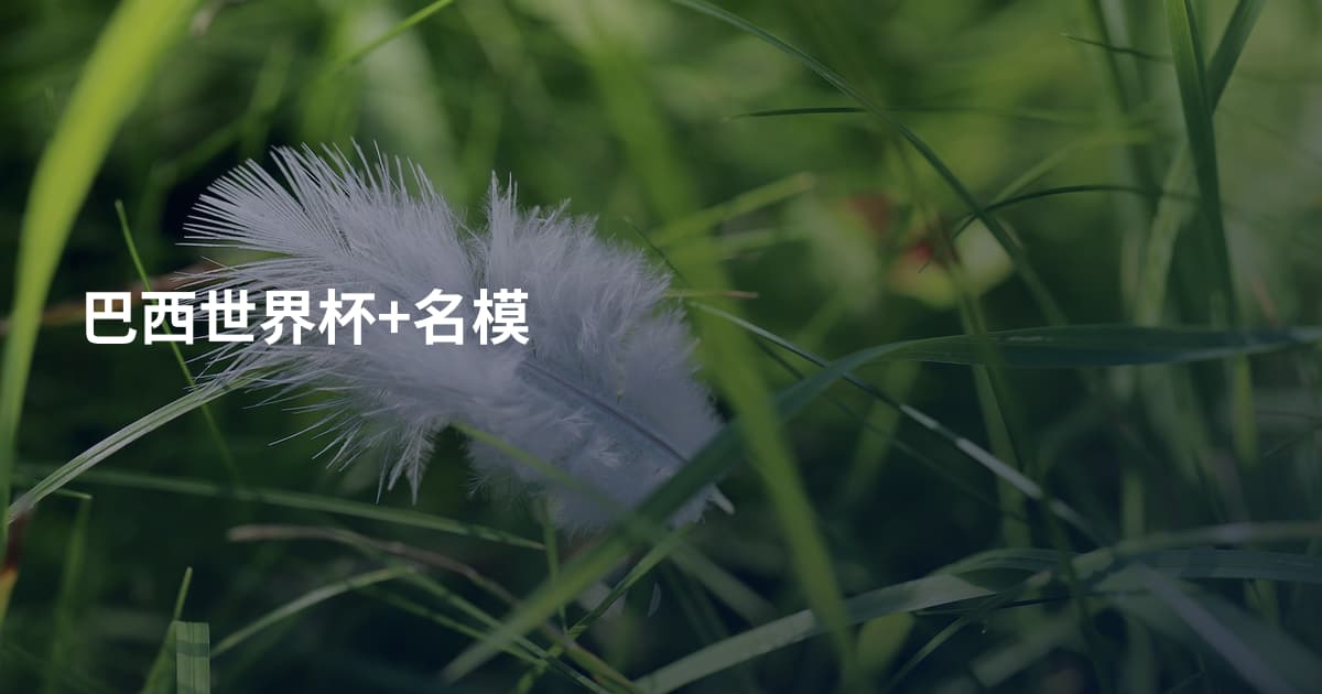 巴西世界杯+名模