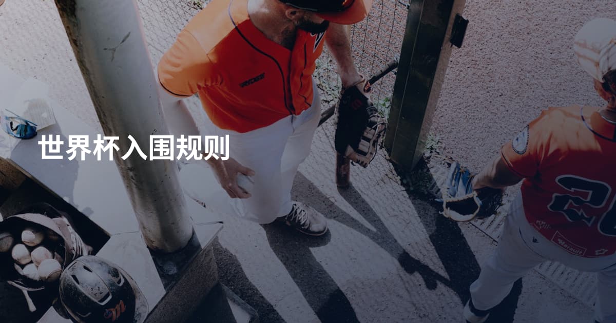 世界杯入围规则