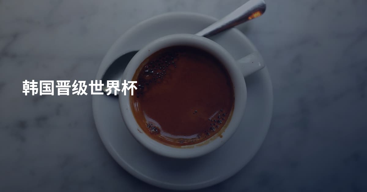 韩国晋级世界杯