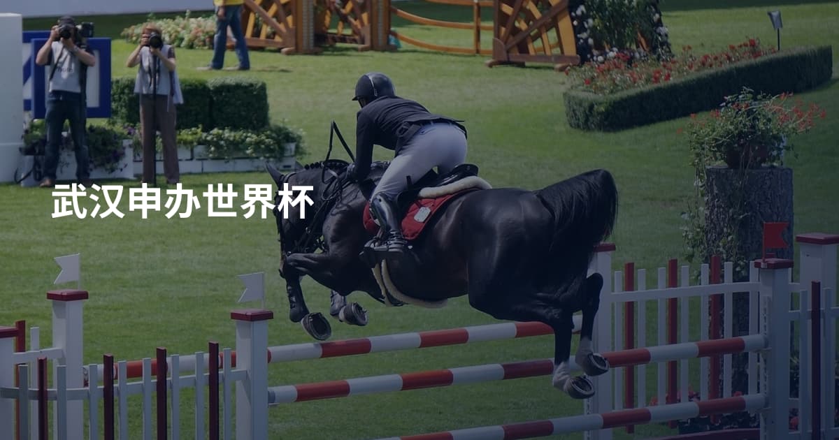 武汉申办世界杯