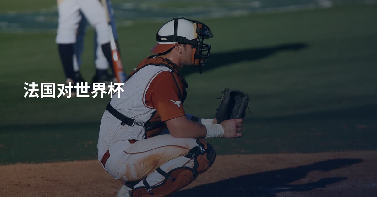 法国对世界杯