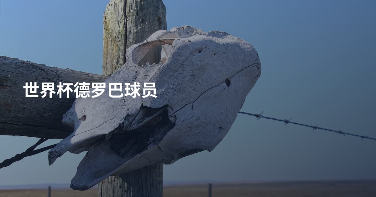 世界杯德罗巴球员