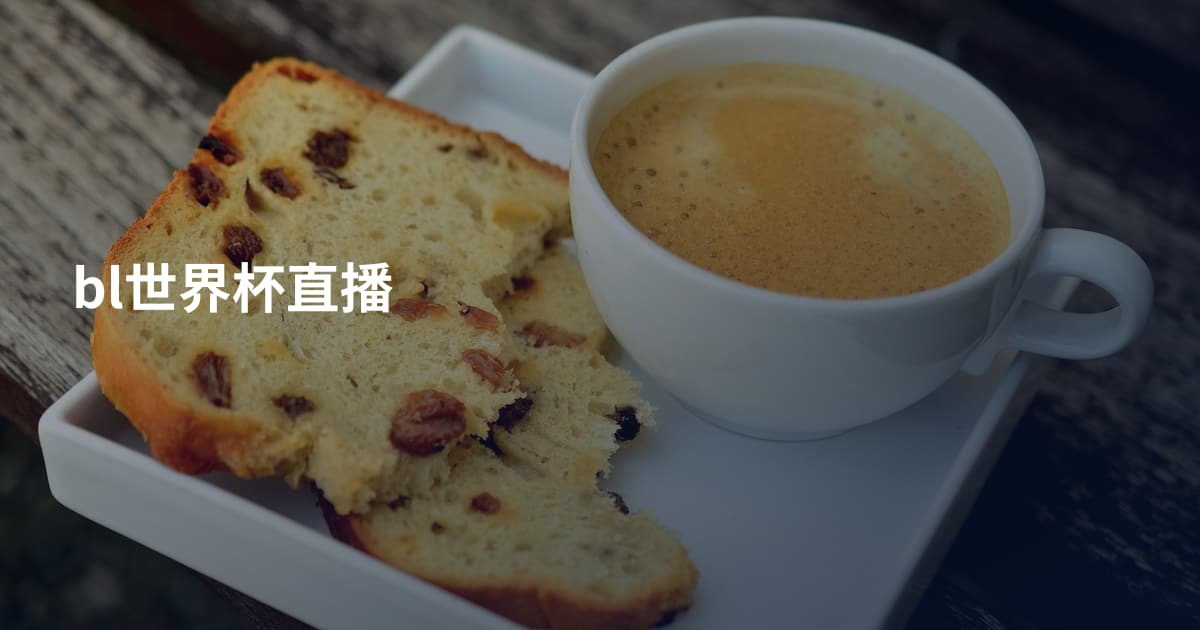 bl世界杯直播