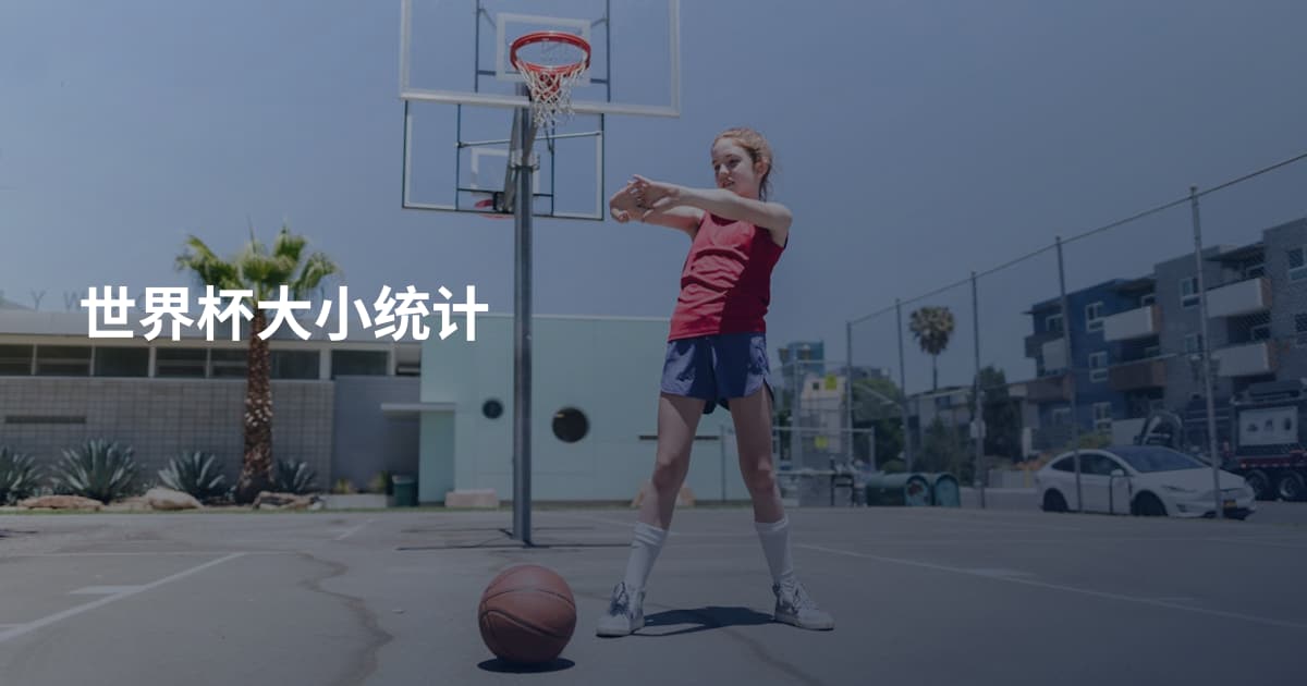 世界杯大小统计