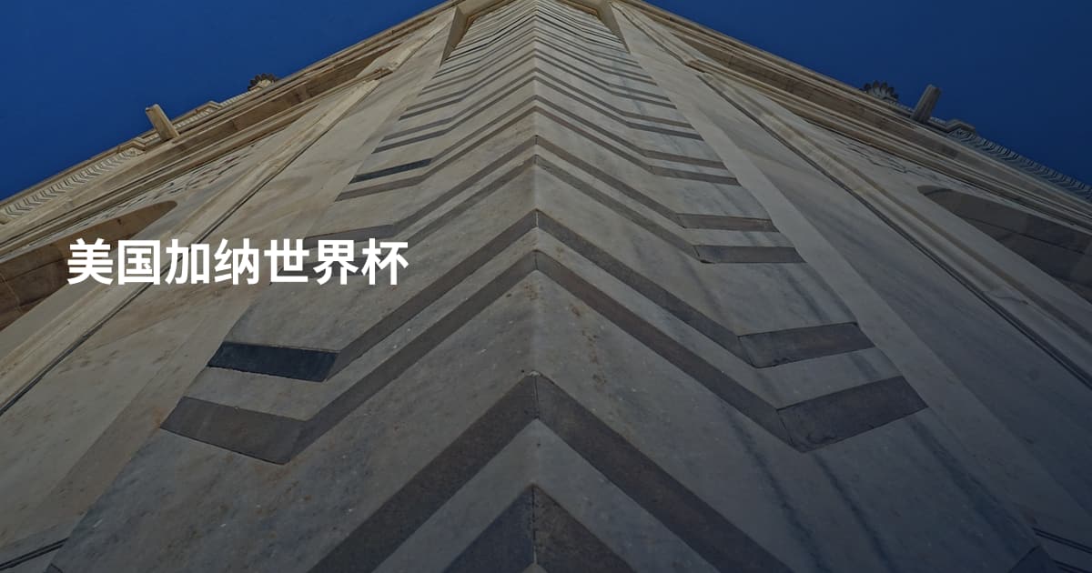 美国加纳世界杯