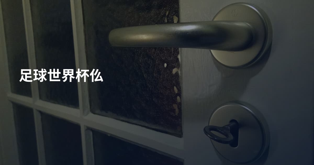 足球世界杯仫