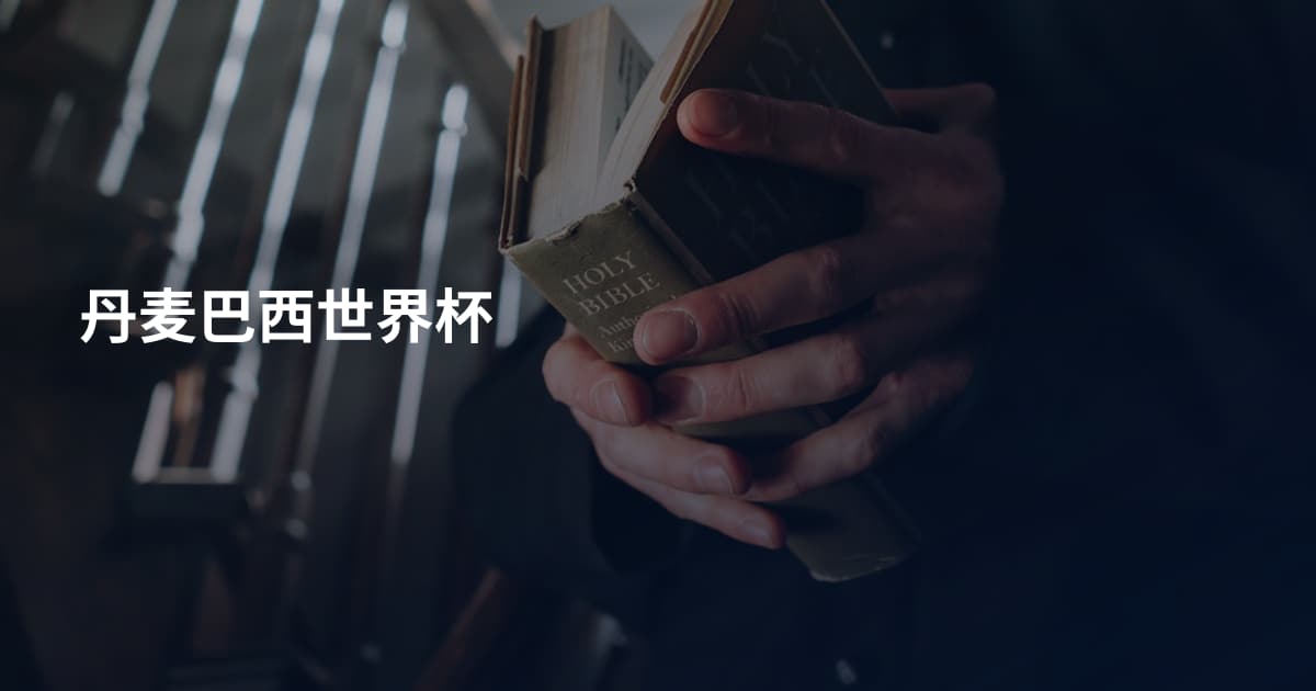 丹麦巴西世界杯