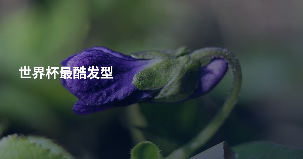 世界杯最酷发型
