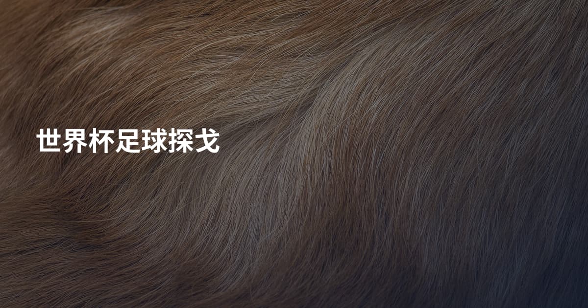 世界杯足球探戈