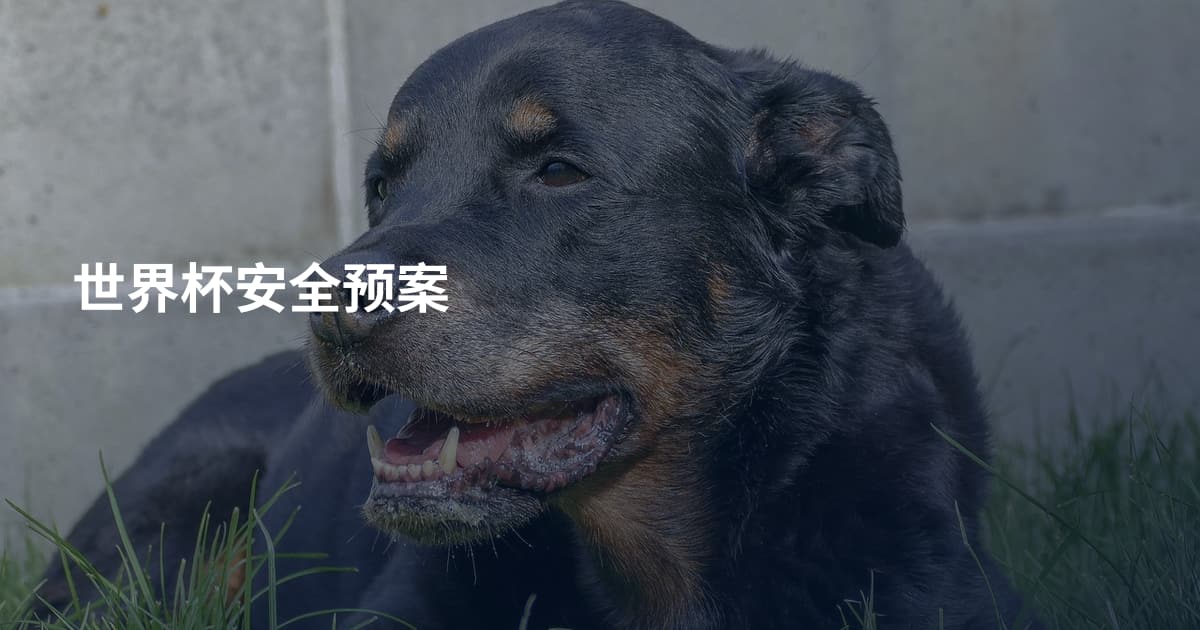 世界杯安全预案